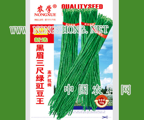黑眉三尺绿豇豆王豆角种子
